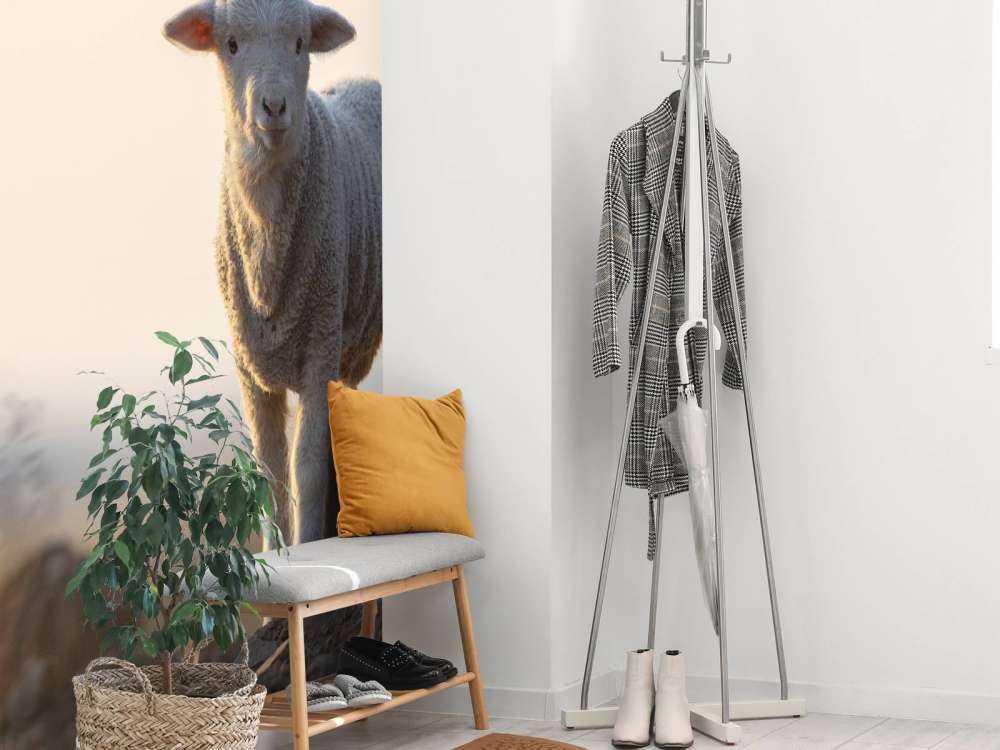 Lamb