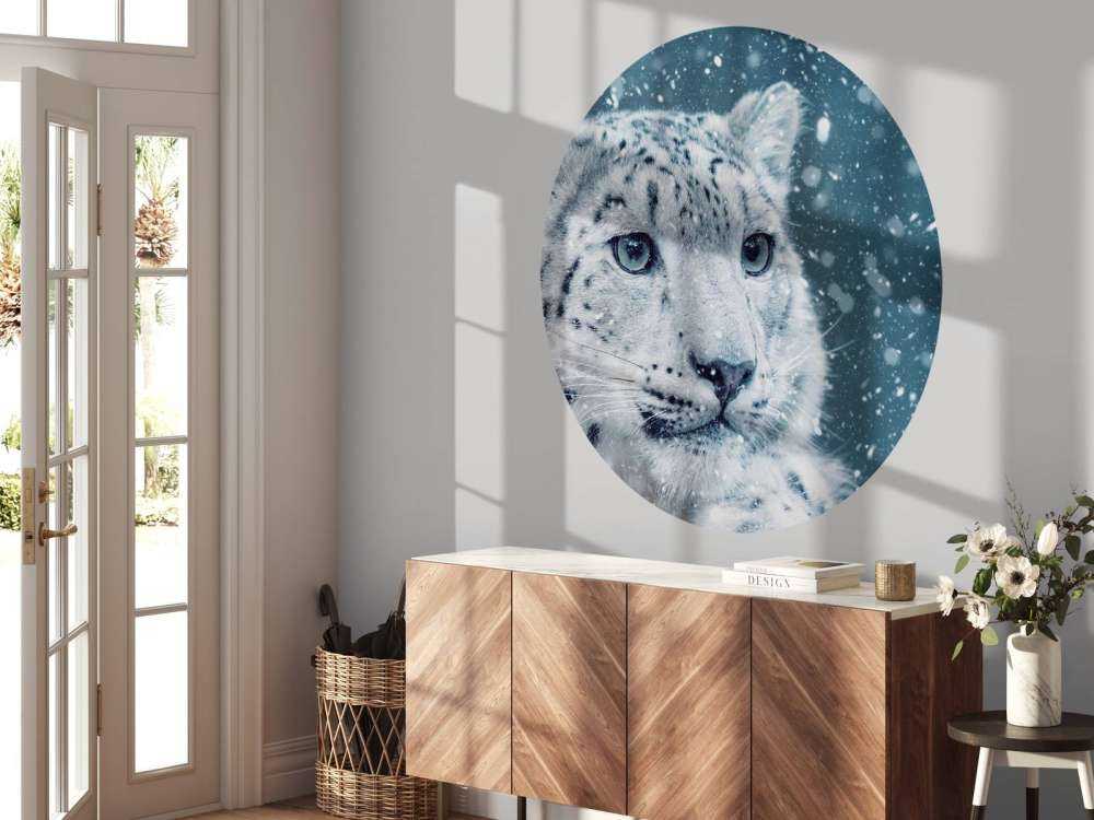 Snow leopard