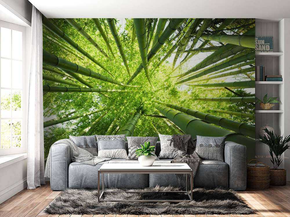 Bamboo