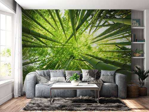 Bamboo