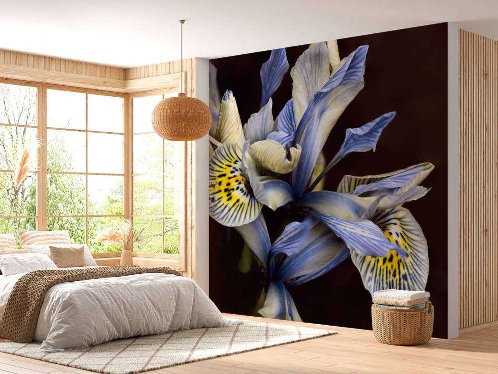 Blue Irises