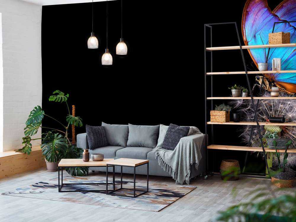 Blue butterfly on a dandelion