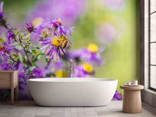 Purple flowers