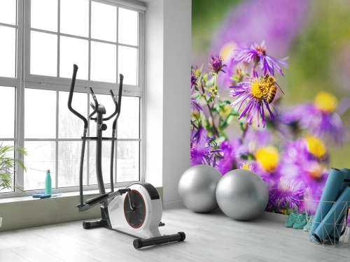 Purple flowers