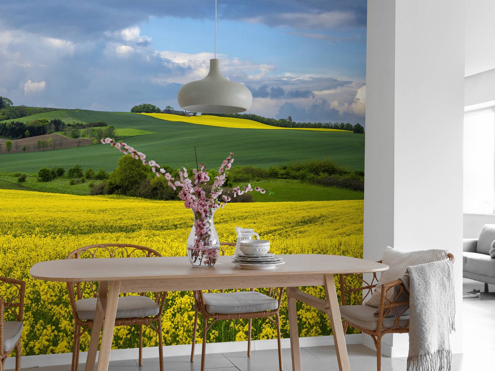 Rapeseed field