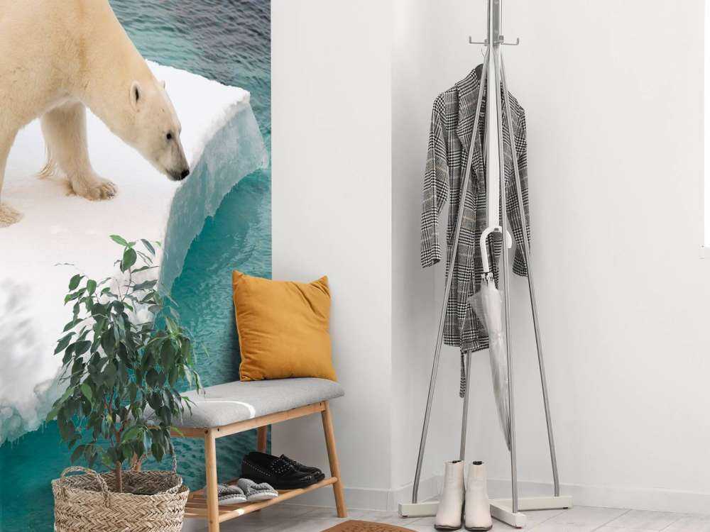 Een ijsbeer observeert de zee