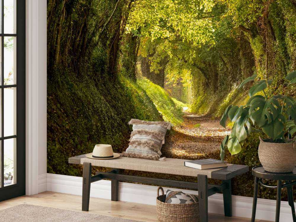 Halnaker tree tunnel