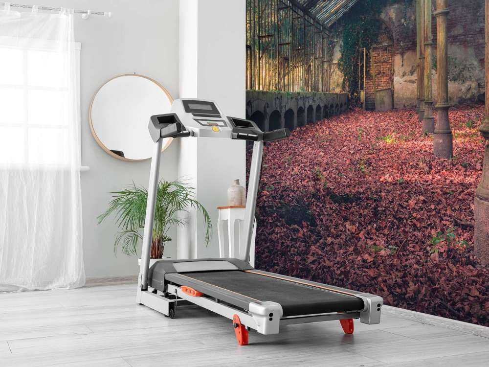 Abandoned house with leaves