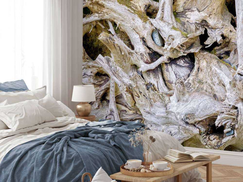 Tree roots 