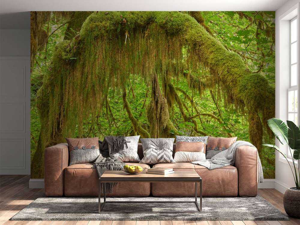 Gedetailleerde takken