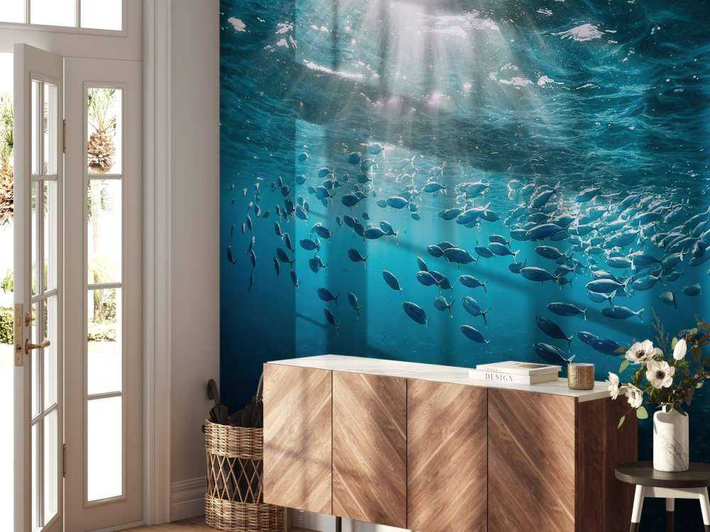 School of fish