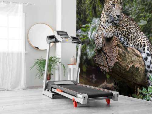 Leopard on tree