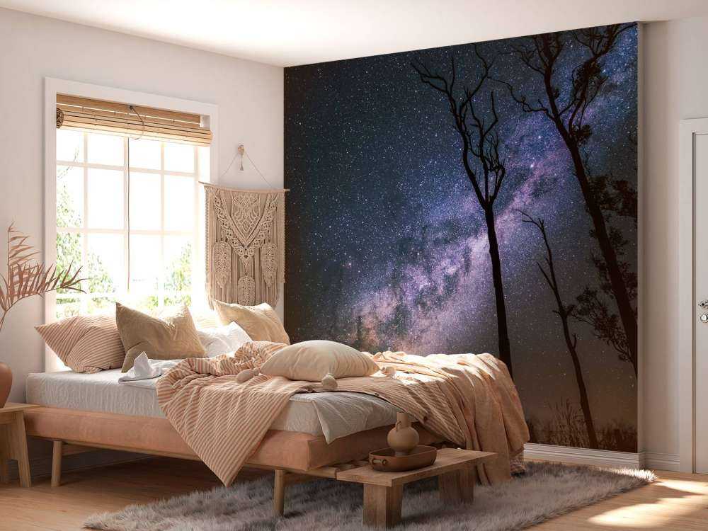 Stars between the trees