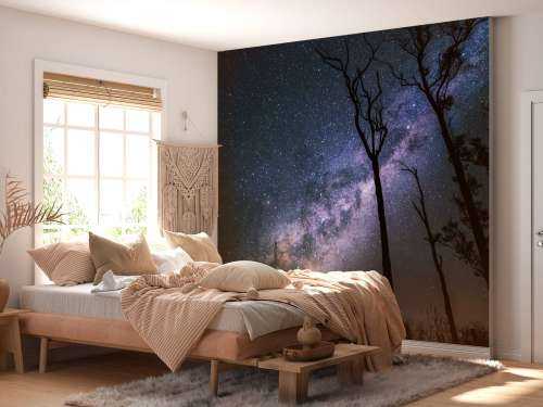 Stars between the trees