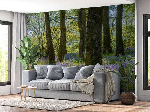 Spring panorama in a forest