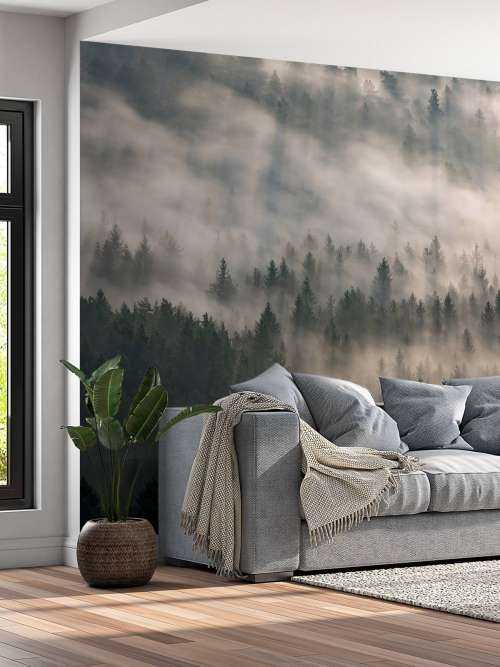 Pine trees and fog