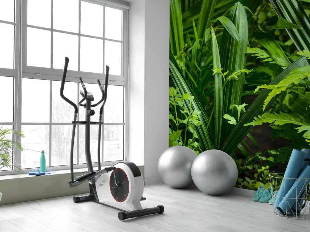 Panorama with plants