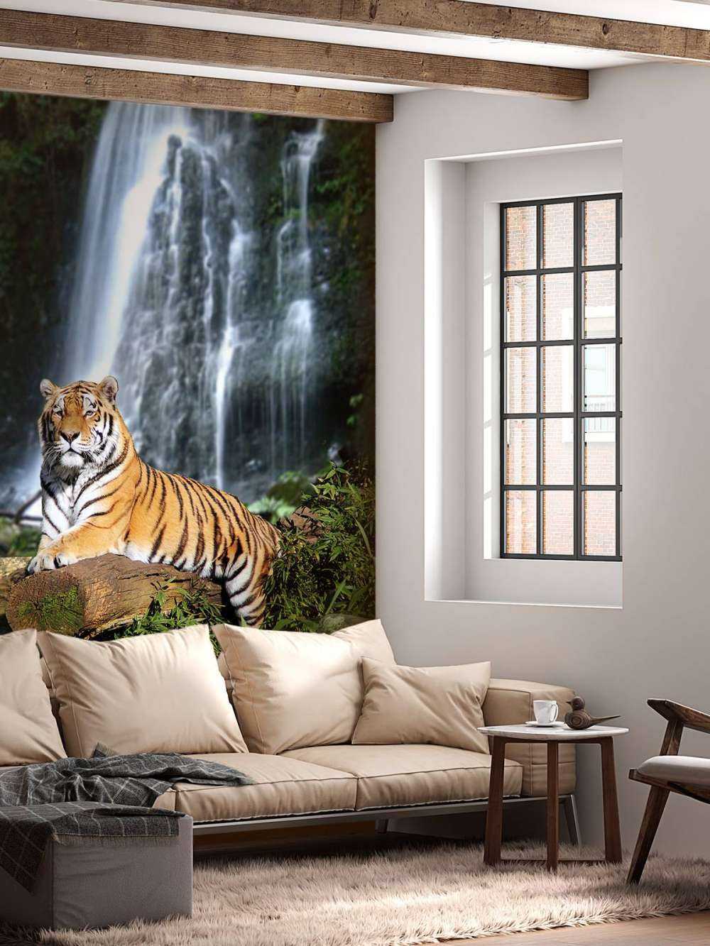 Tiger in the jungle