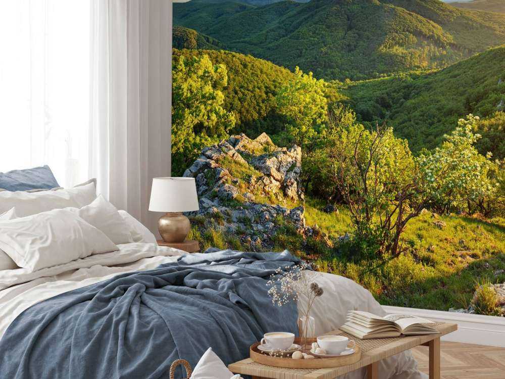 Mountain forest