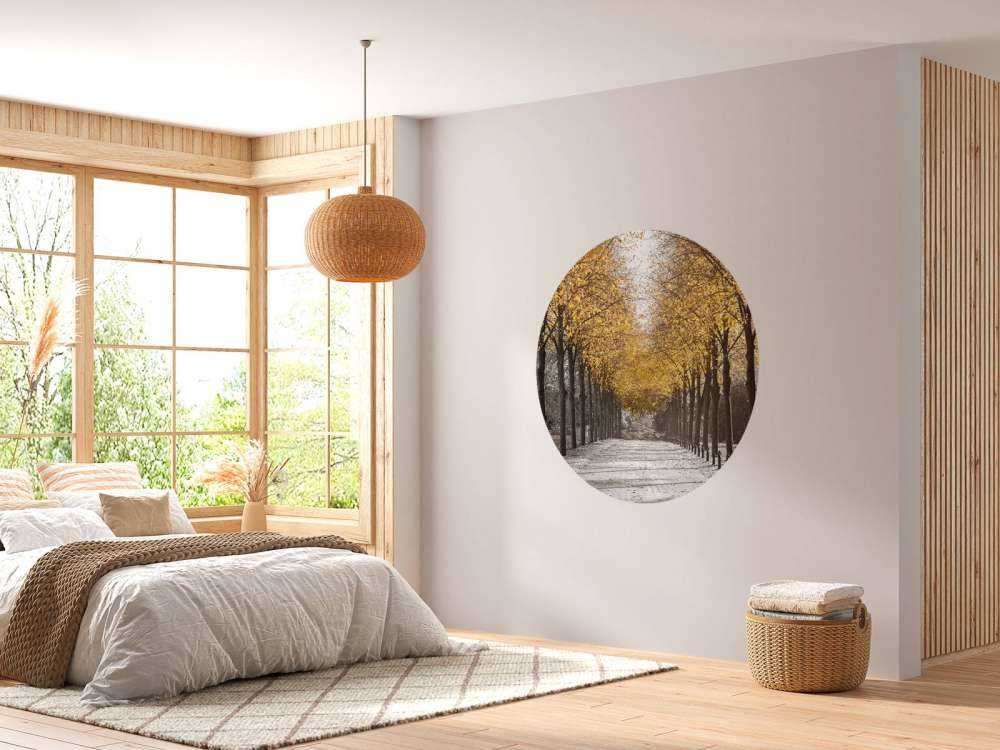 Path through the trees