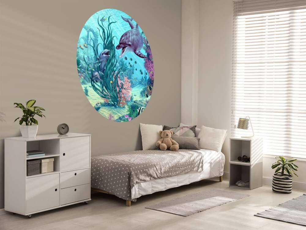 Hide And Seek Dolphins