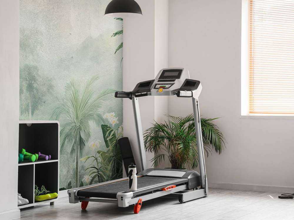 Misty Tropics Mystery