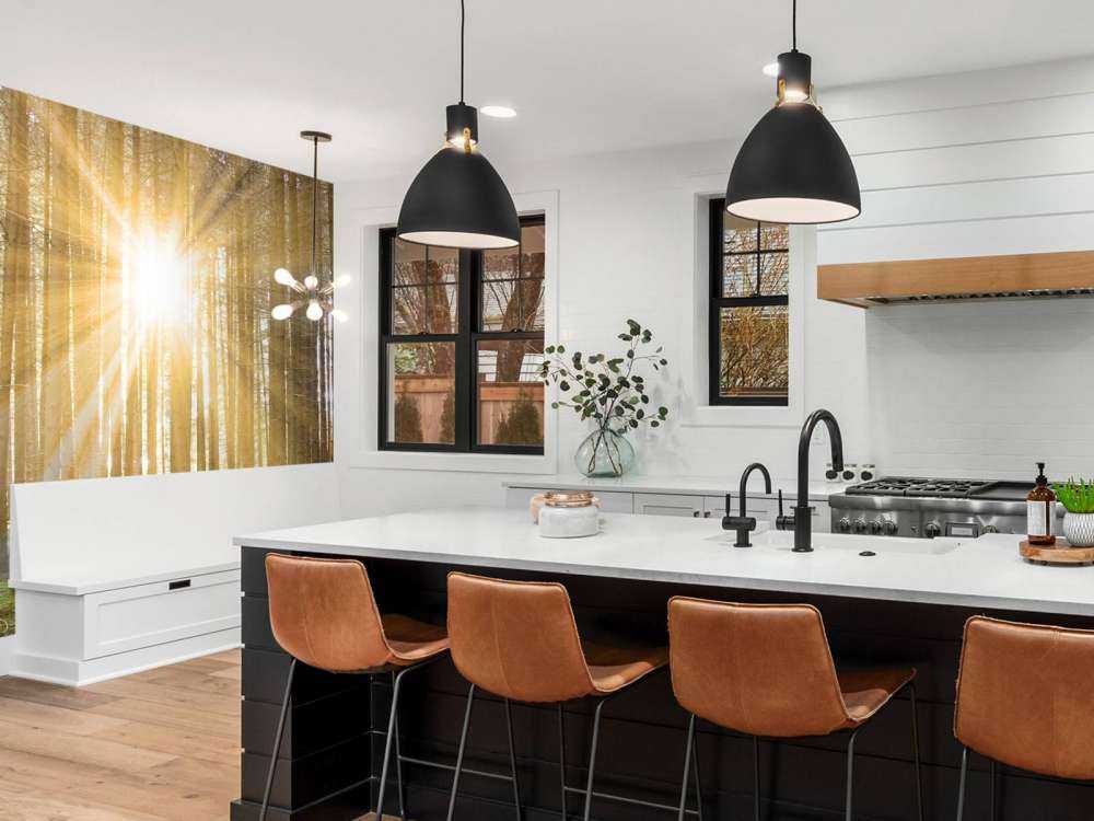 Pine forest with sunshine