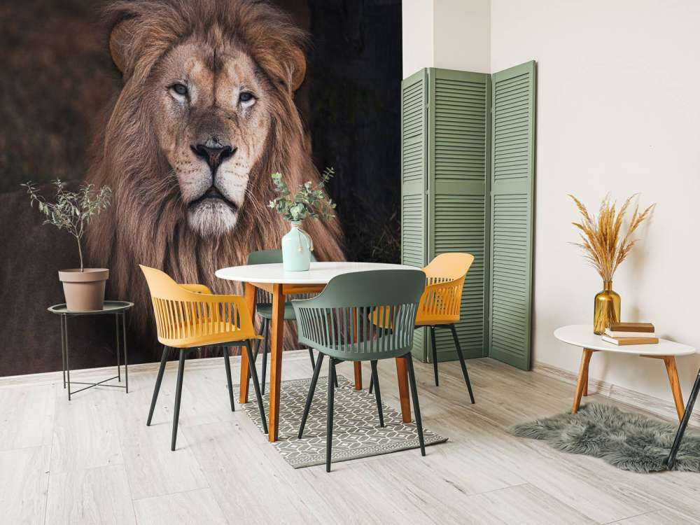 Portrait of a lion