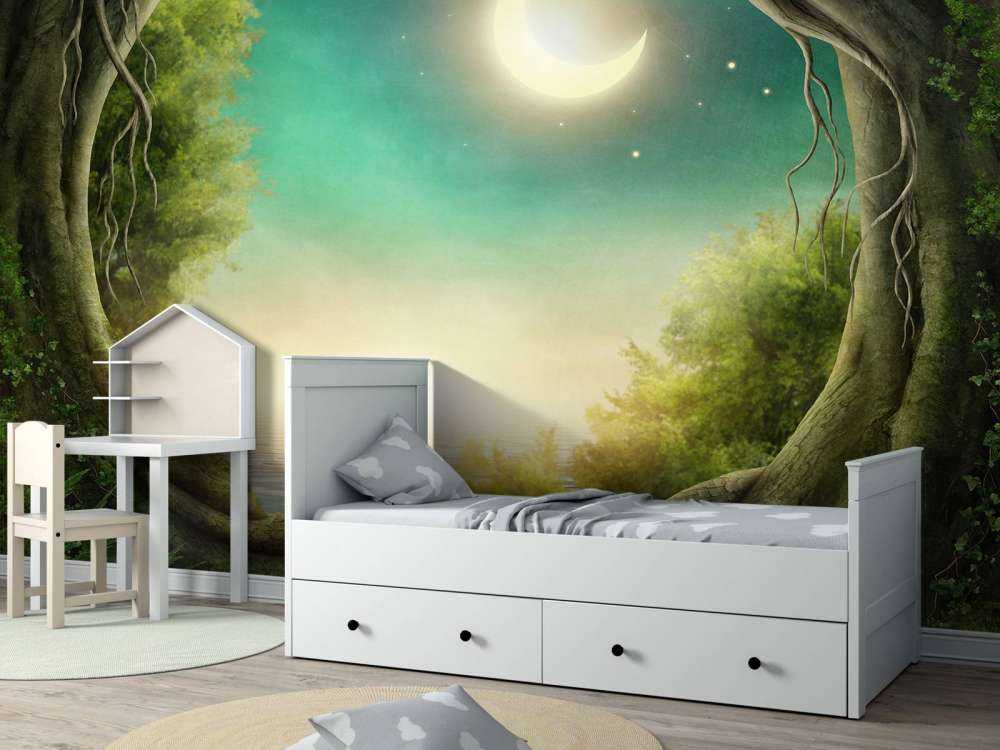 The enchanted forest