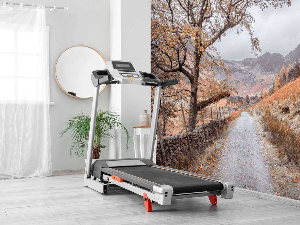 Path between the mountains