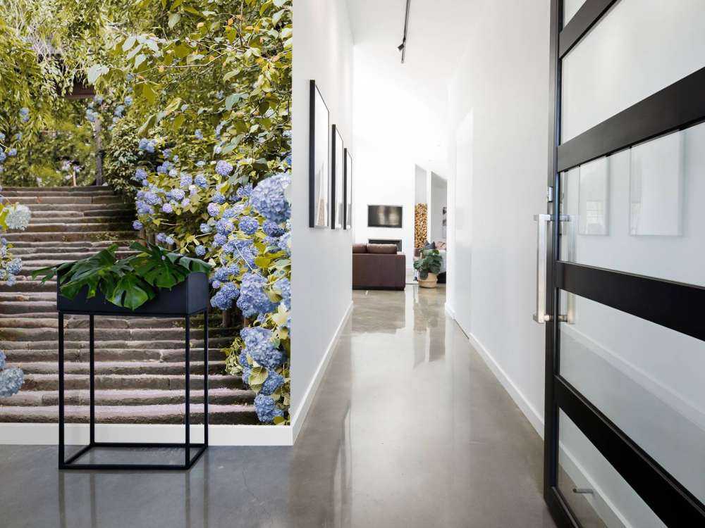 Blue flowers in park