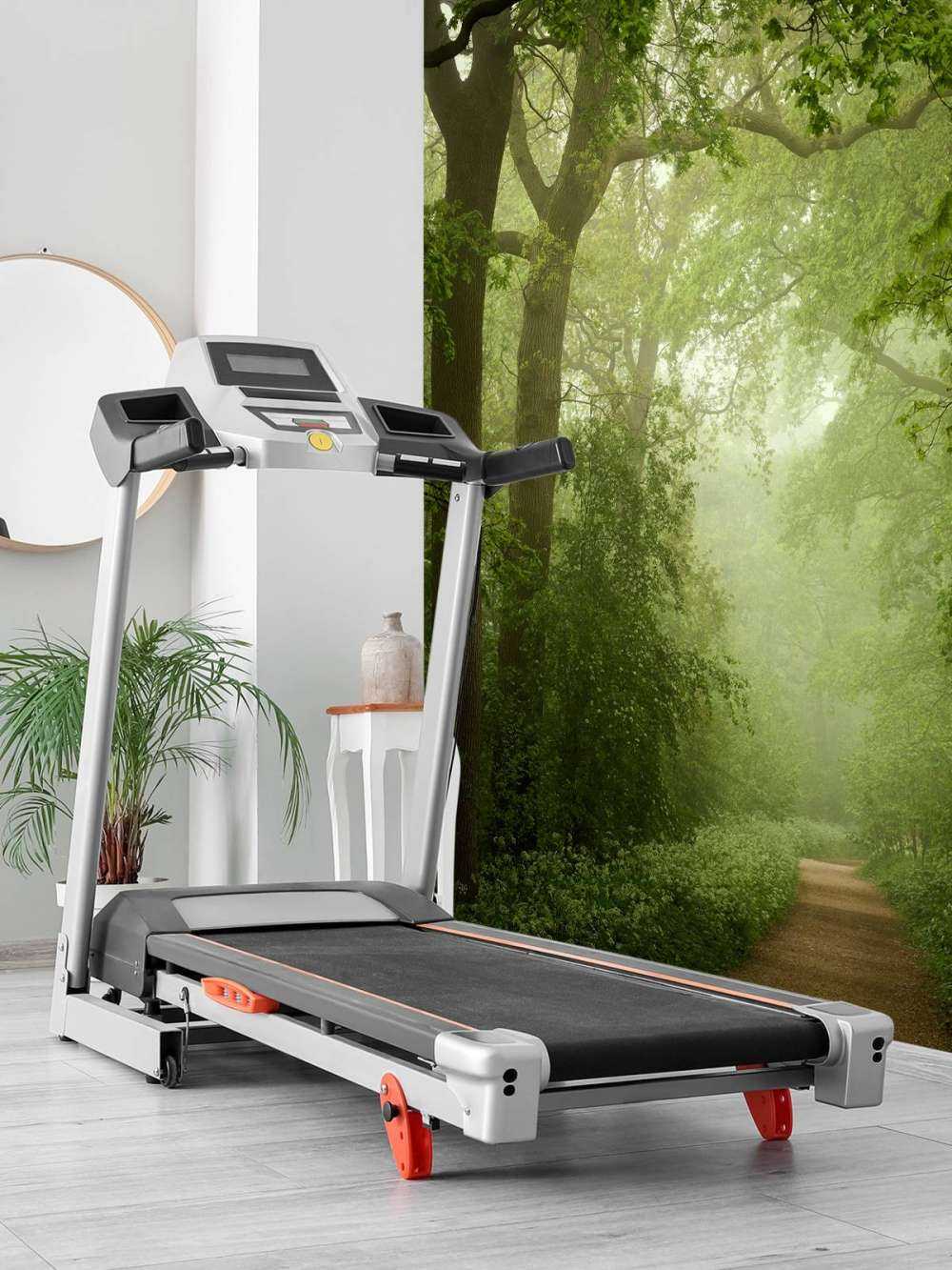 Forest path in the mist