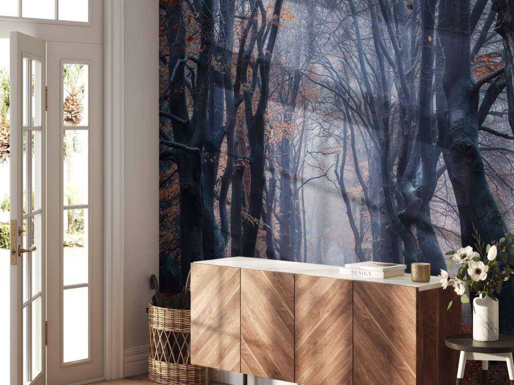 Forest path with leaves