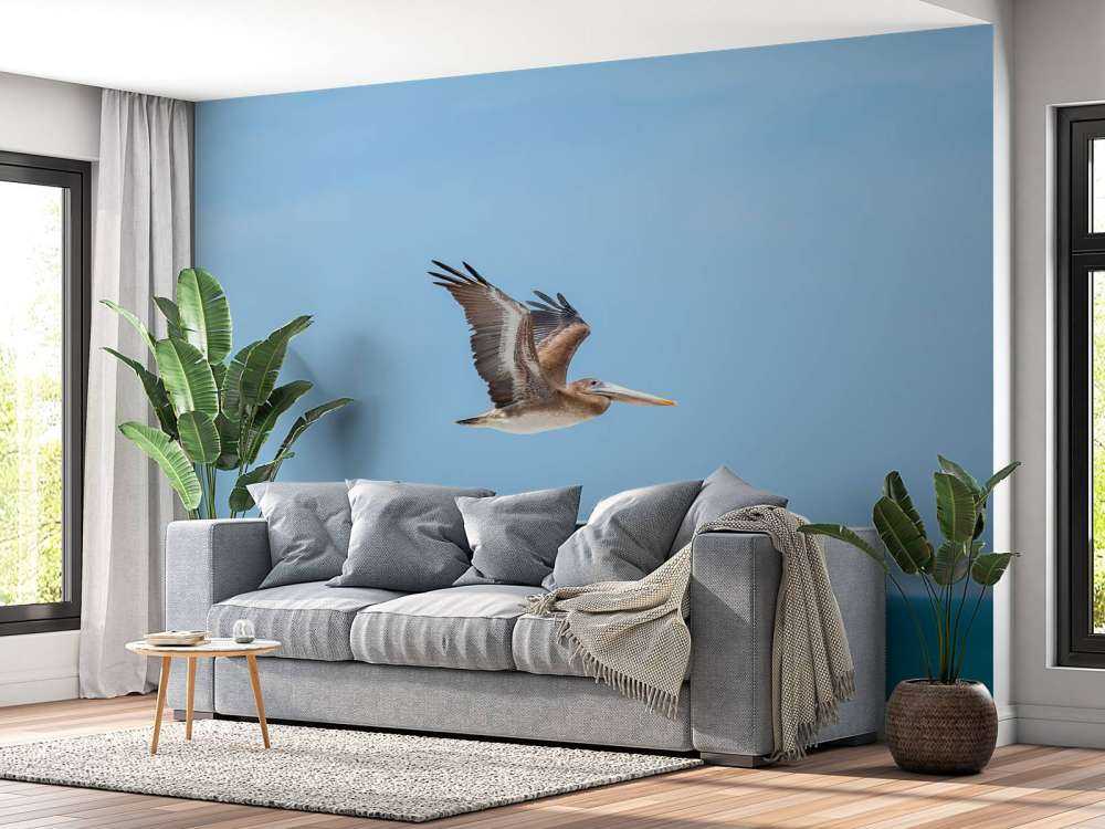 Flying pelican
