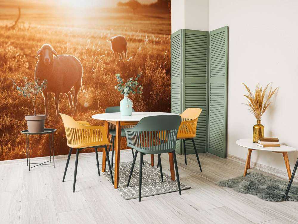 Sheep in beautiful pasture