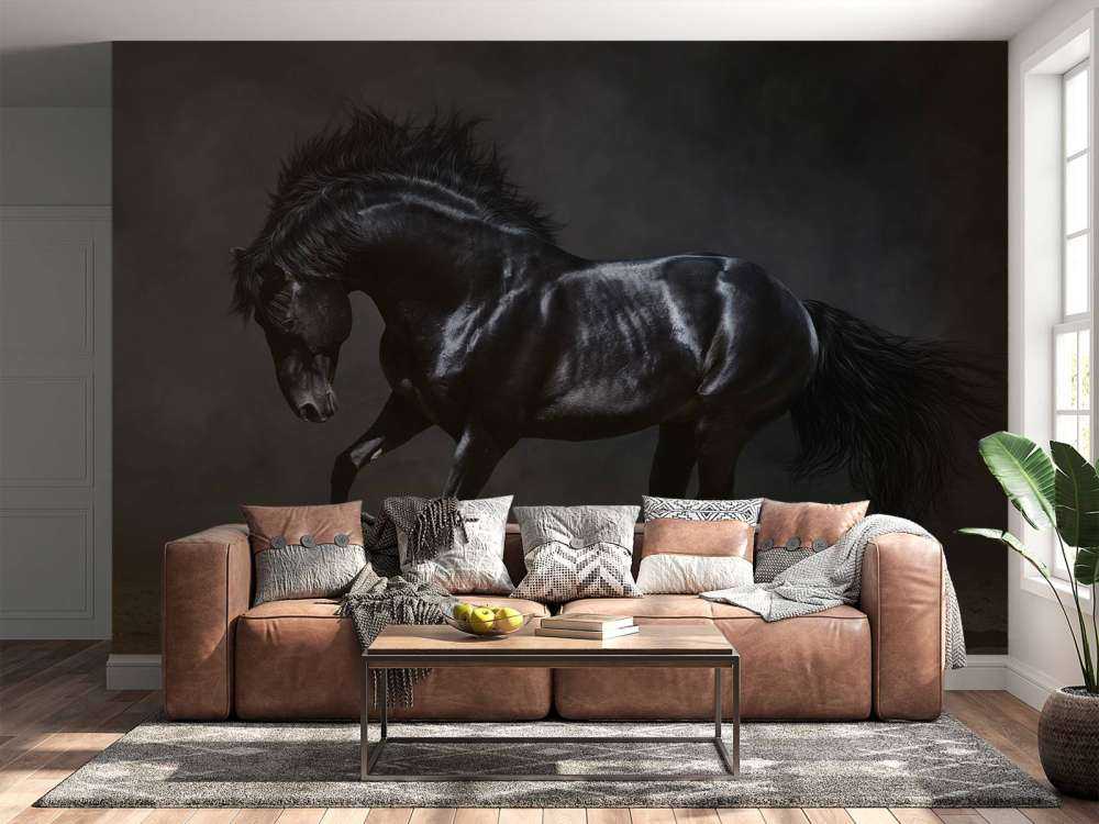 Black stallion