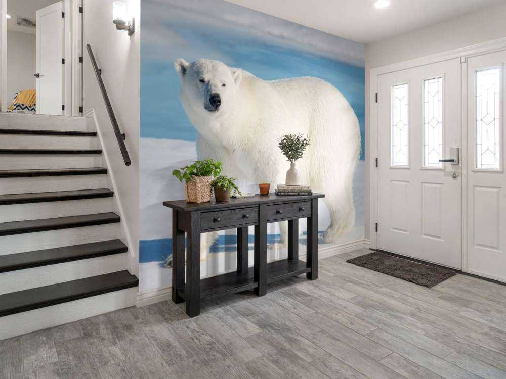 Polar bear