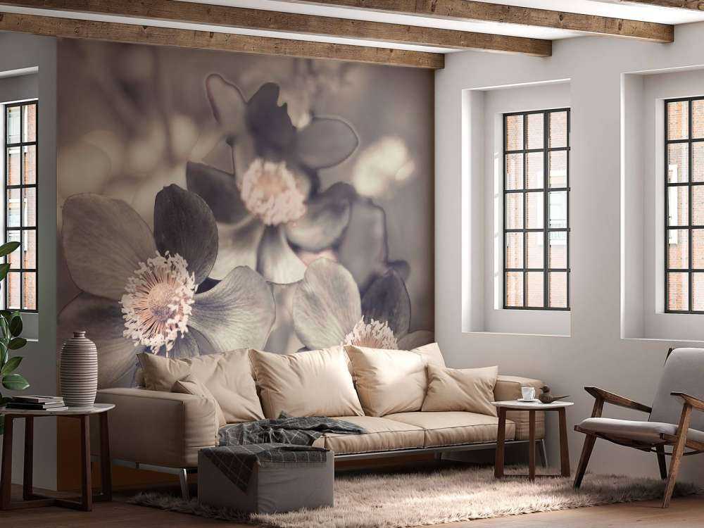 Anemone flower