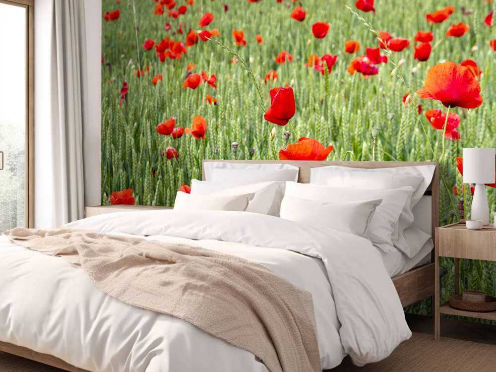 Red Poppies field