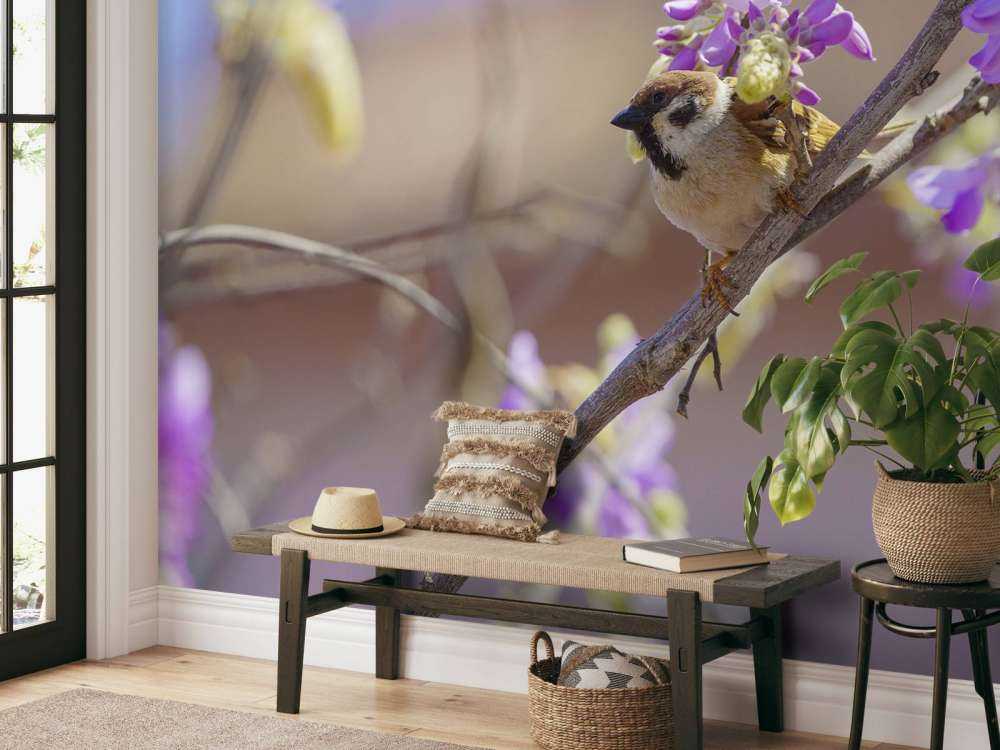 Sparrow and purple flowers