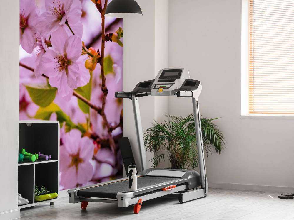 Pink blossoms with petals