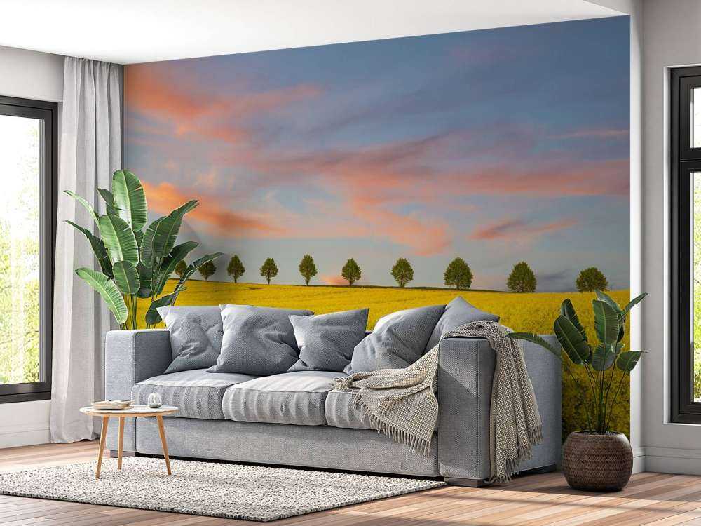 Field full of yellow flowers