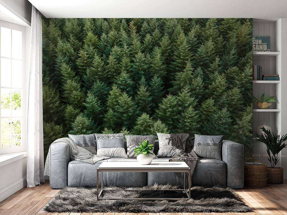 Douglas firs from above