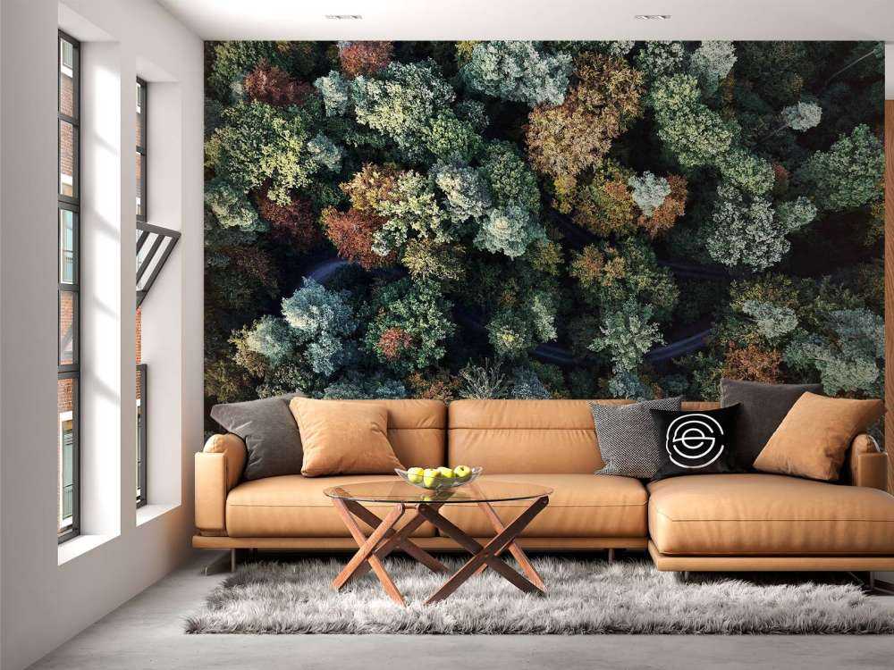 Autumn forest from above