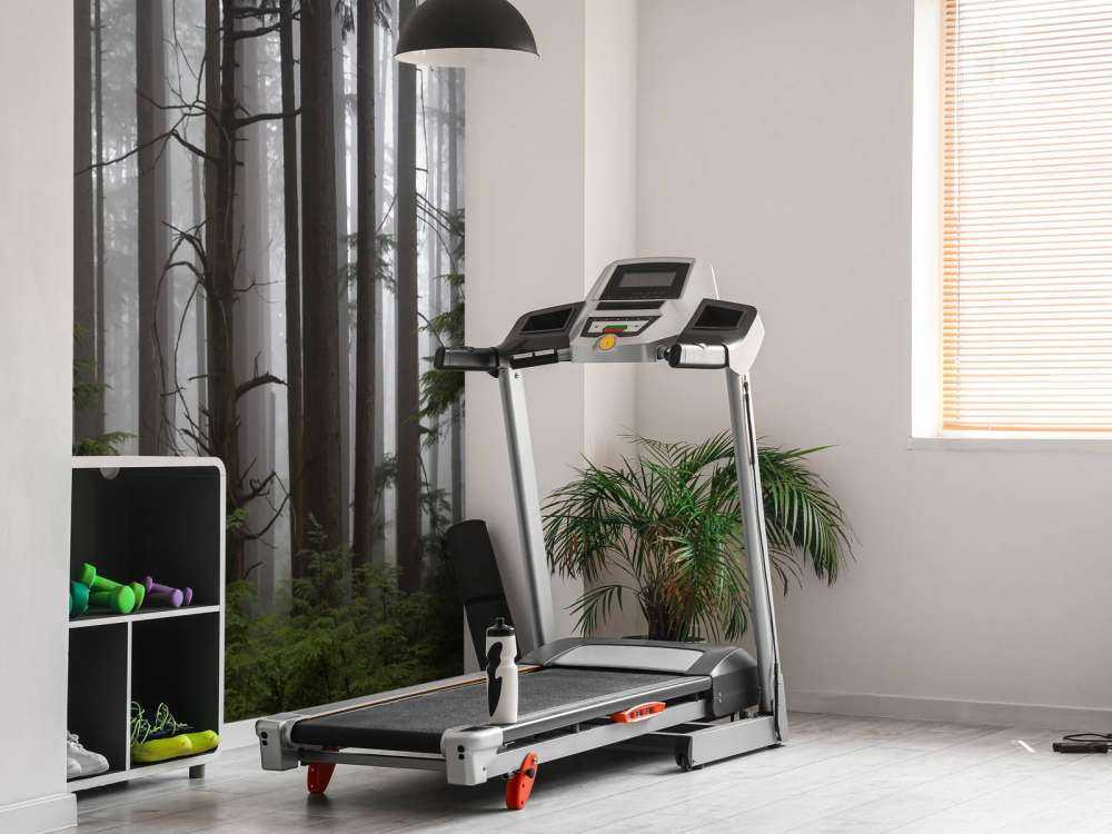 Forest during a foggy day