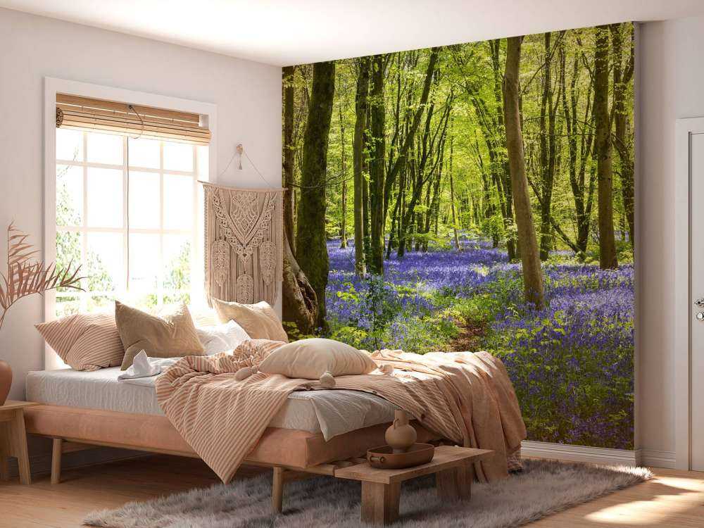 Forest in the sunlight