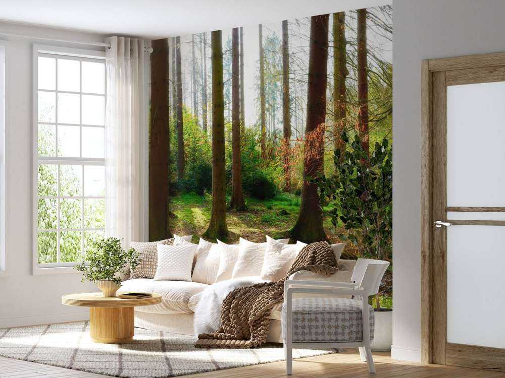 Autumn forest with bright sunlight