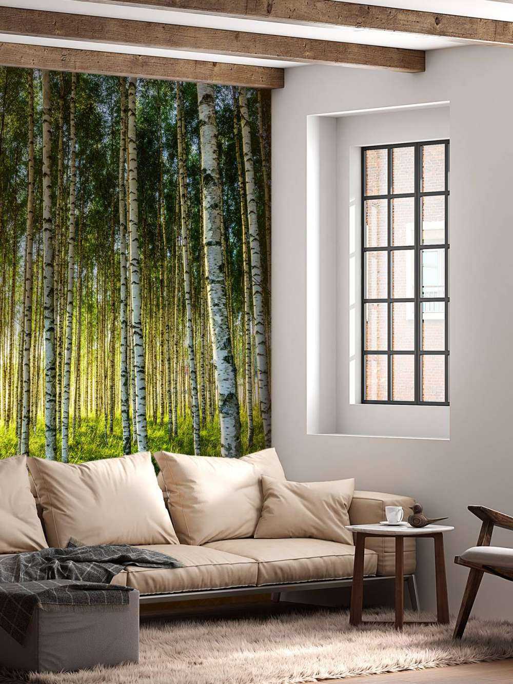 Summer birch forest