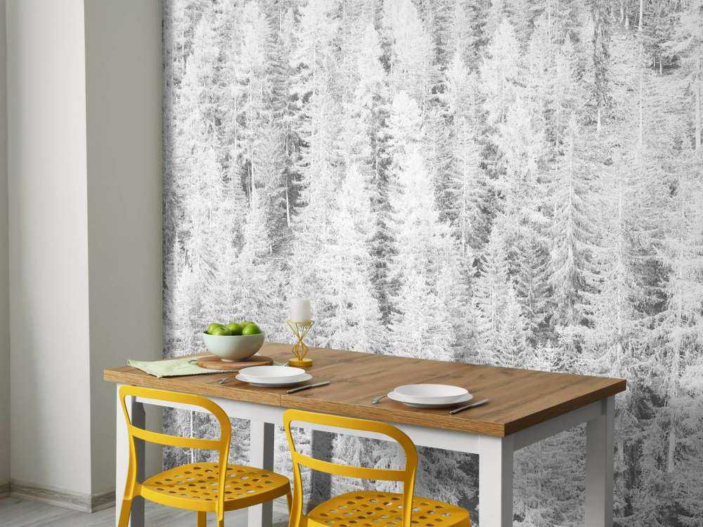 Conifers in black and white