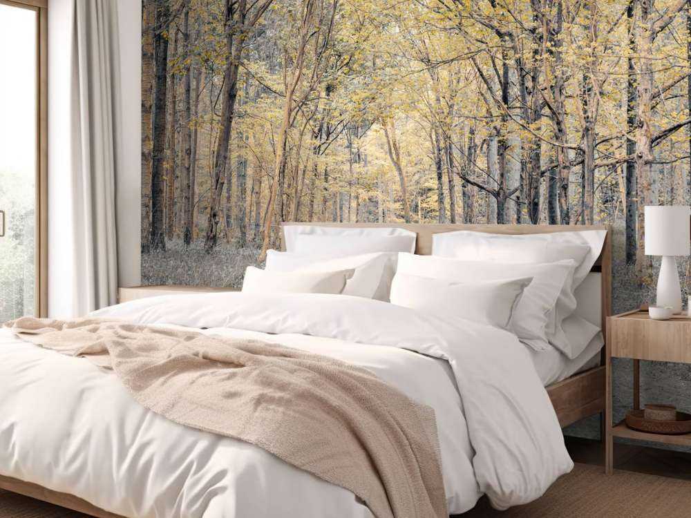 Forest road during autumn